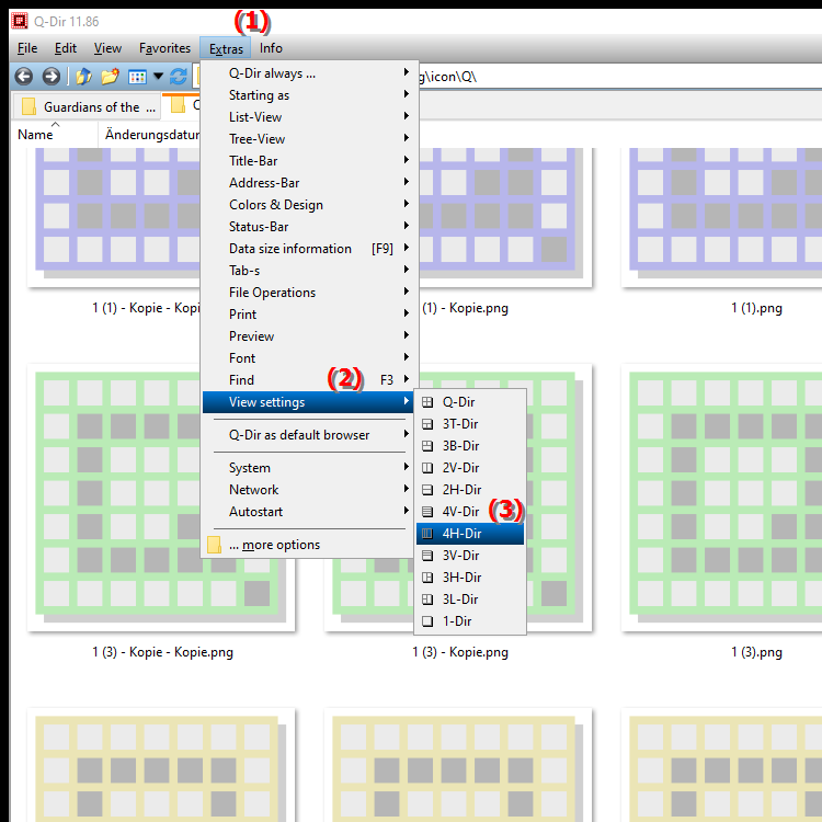What is the 4H Dir Quad File Explorer view